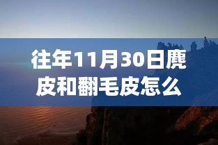 2024年12月1日 第35页