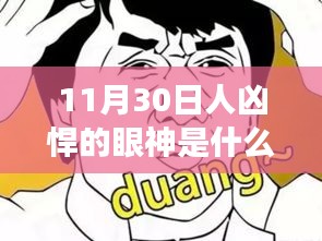 揭秘凶悍眼神背后的秘密，探究11月30日出生者的眼神特质与深层解读