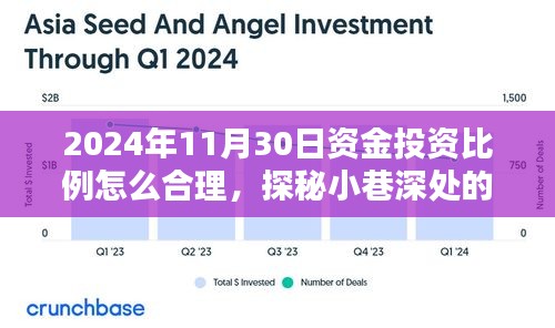 探秘宝藏小店，资金投资比例的黄金配置策略揭秘（2024年11月30日）