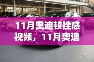 11月奥迪顿挫感问题深度解析与视频实录