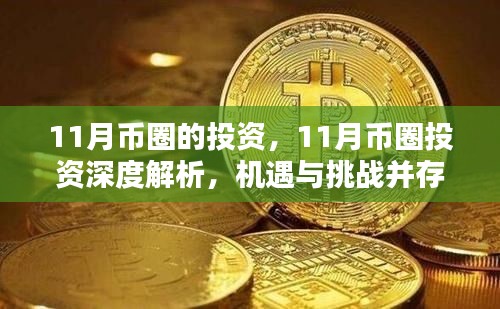 11月币圈投资深度解析，机遇与挑战并存