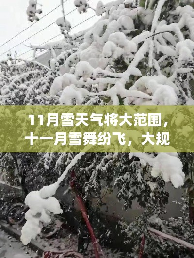 十一月雪舞纷飞，大规模雪天气来袭，你准备好了吗？