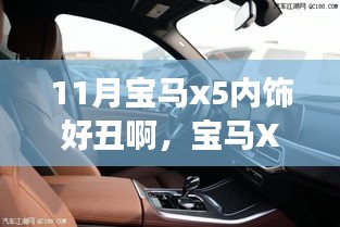 宝马X5内饰革新引发审美变迁，个性体验与外观争议