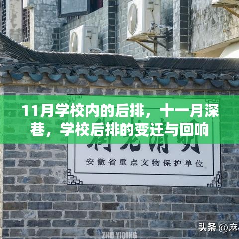 学校后排深巷的变迁与回响，十一月的故事