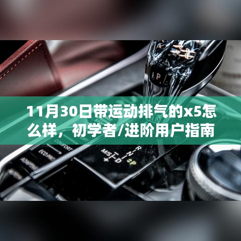 初学者与进阶用户指南，深度解析与体验带运动排气的X5车型