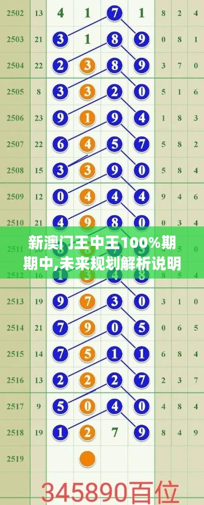 新澳门王中王100%期期中,未来规划解析说明_复刻版132.754-2