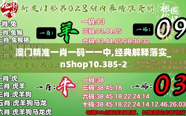 澳门精准一肖一码一一中,经典解释落实_nShop10.385-2