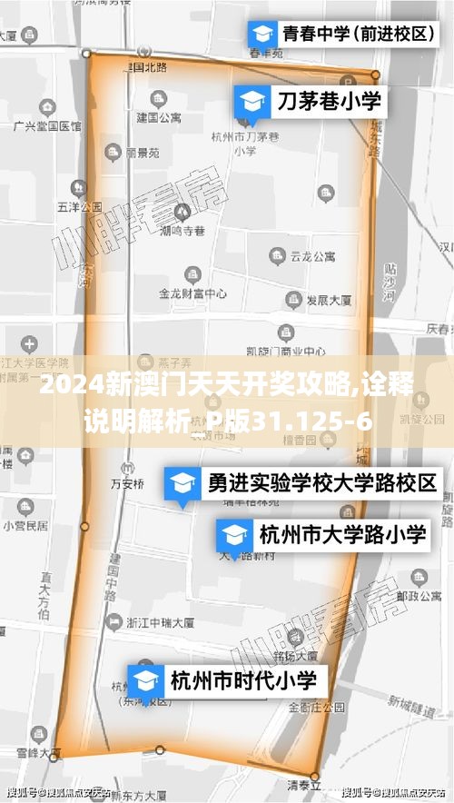 2024新澳门天天开奖攻略,诠释说明解析_P版31.125-6