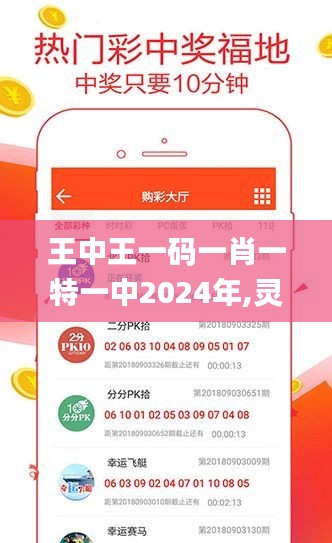 王中王一码一肖一特一中2024年,灵活设计操作方案_挑战款121.451-2