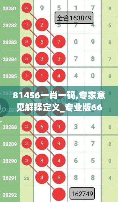 81456一肖一码,专家意见解释定义_专业版66.734-2