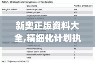 新奥正版资料大全,精细化计划执行_SP61.263-9