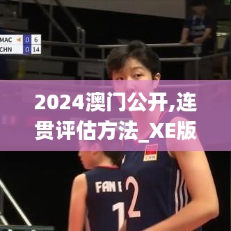 2024澳门公开,连贯评估方法_XE版22.617-1