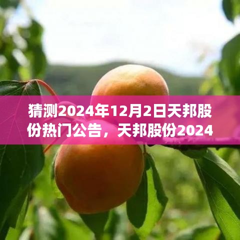 天邦股份2024年12月2日热门公告预测及其影响分析