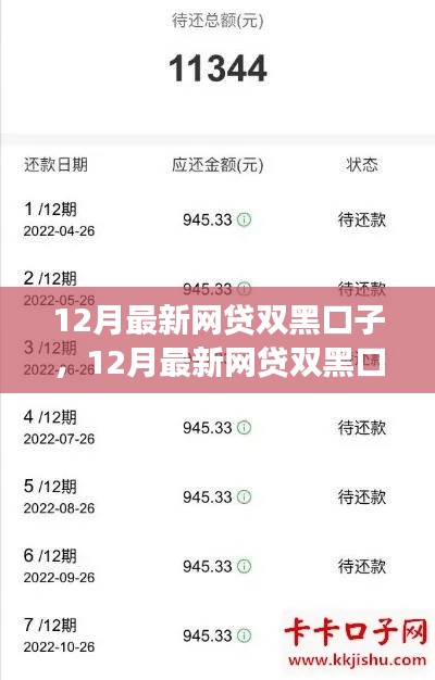 12月最新网贷双黑口子现象解析，何去何从的探讨