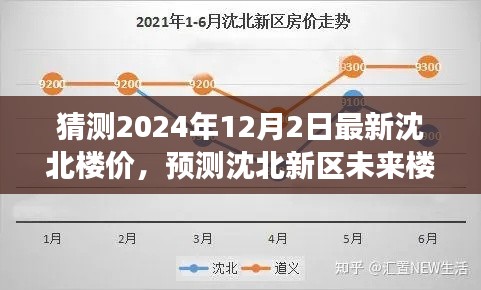 2024年12月3日 第7页