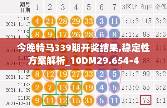 今晚特马339期开奖结果,稳定性方案解析_10DM29.654-4