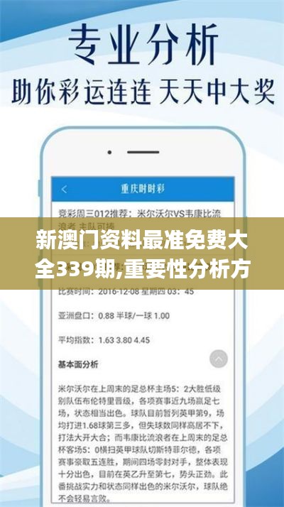 新澳门资料最准免费大全339期,重要性分析方法_U88.677-4