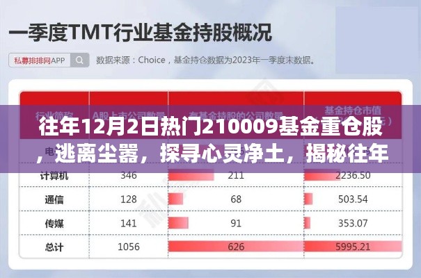 揭秘热门基金重仓股背后的自然之旅，探寻心灵净土的逃离尘嚣之旅