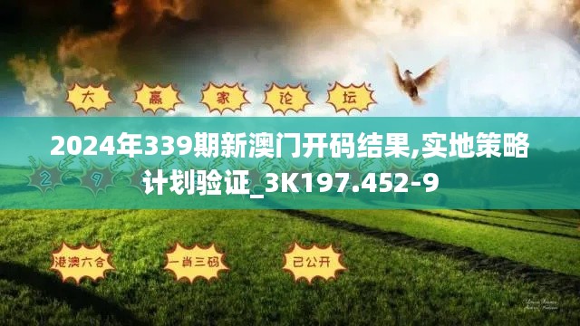 2024年339期新澳门开码结果,实地策略计划验证_3K197.452-9