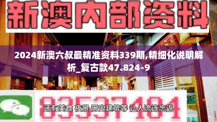 2024新澳六叔最精准资料339期,精细化说明解析_复古款47.824-9