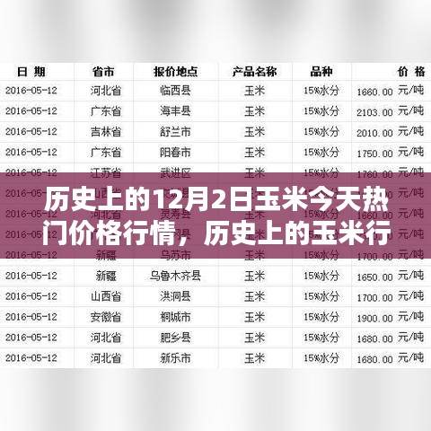 历史上的玉米行情与今日玉米热门价格走势深度解析