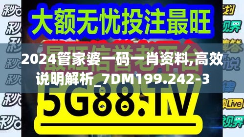 2024管家婆一码一肖资料,高效说明解析_7DM199.242-3