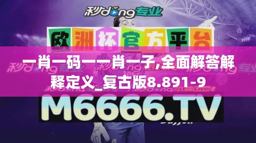 一肖一码一一肖一子,全面解答解释定义_复古版8.891-9