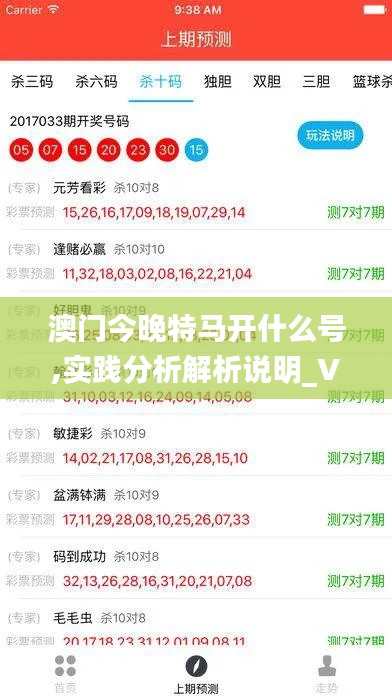 澳门今晚特马开什么号,实践分析解析说明_VIP10.783-4