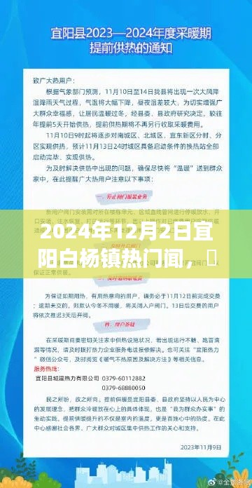 宜阳白杨镇风云揭秘，2024年12月2日热门新闻事件回顾与解读