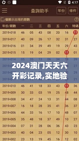 2024澳门天天六开彩记录,实地验证执行数据_开发版55.147-5