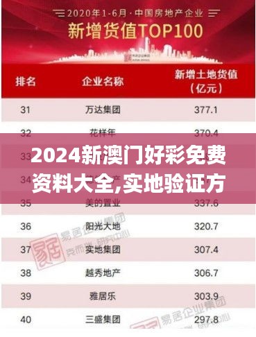 2024新澳门好彩免费资料大全,实地验证方案策略_网红版13.492-1