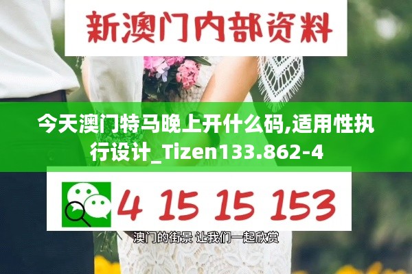 今天澳门特马晚上开什么码,适用性执行设计_Tizen133.862-4