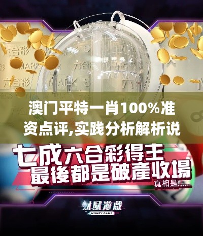 澳门平特一肖100%准资点评,实践分析解析说明_经典款79.747-7