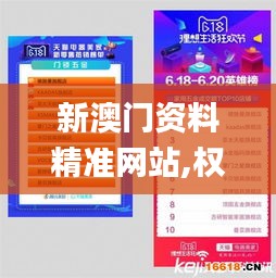 新澳门资料精准网站,权威数据解释定义_AP53.303-2