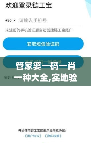 管家婆一码一肖一种大全,实地验证分析_理财版67.229-4