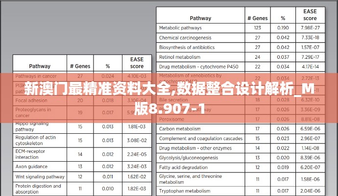 新澳门最精准资料大全,数据整合设计解析_M版8.907-1