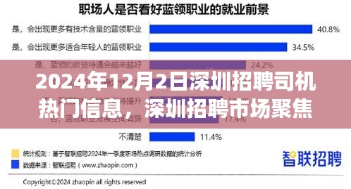 2024年深圳司机招聘热门信息解读，聚焦招聘市场趋势