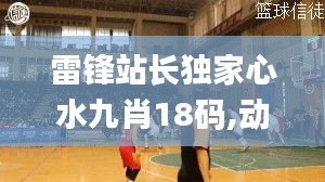 雷锋站长独家心水九肖18码,动态解析词汇_7DM198.213-5