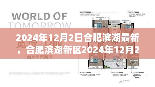 合肥滨湖新区最新活动参与指南，从入门到精通的步骤教程（2024年12月2日版）