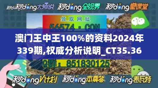 澳门王中王100%的资料2024年339期,权威分析说明_CT35.369-1