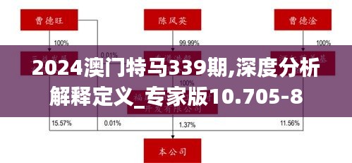 2024澳门特马339期,深度分析解释定义_专家版10.705-8