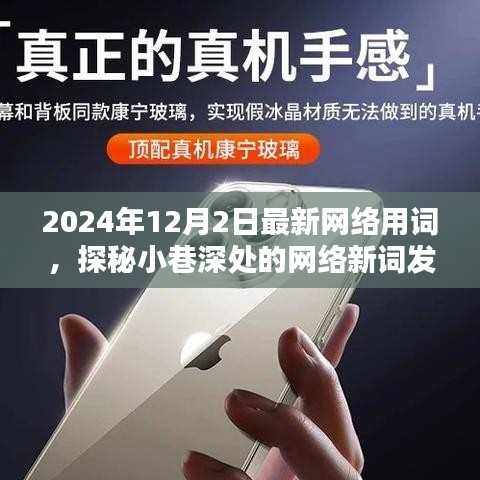 探秘特色小店，揭秘网络新词发源地，带你领略最新网络用词风潮（2024年12月2日）