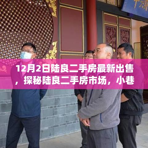 陆良二手房市场探秘，最新出售房源与小巷风情小店盘点