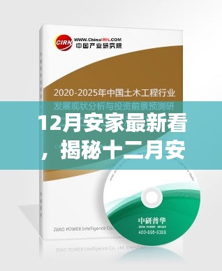 2024年12月4日 第10页