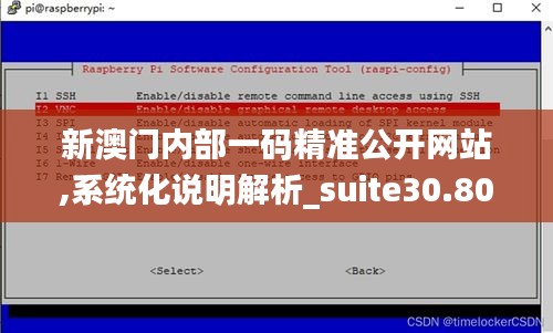 新澳门内部一码精准公开网站,系统化说明解析_suite30.807-8