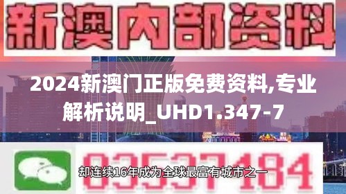 2024新澳门正版免费资料,专业解析说明_UHD1.347-7