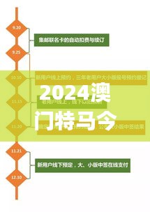 2024澳门特马今340期开奖结果,高效执行计划设计_Advance30.305-4