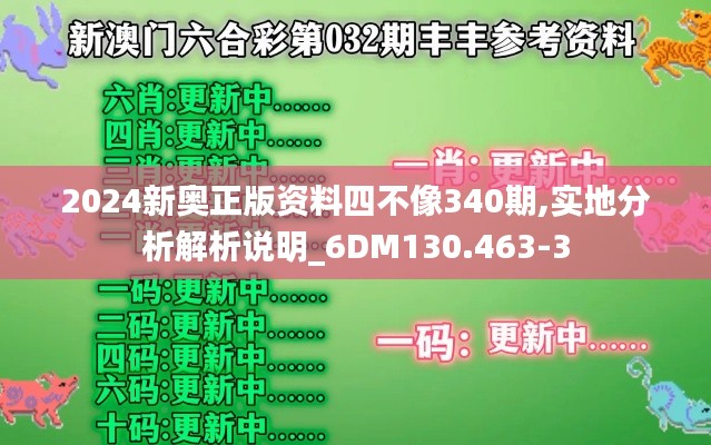 2024新奥正版资料四不像340期,实地分析解析说明_6DM130.463-3