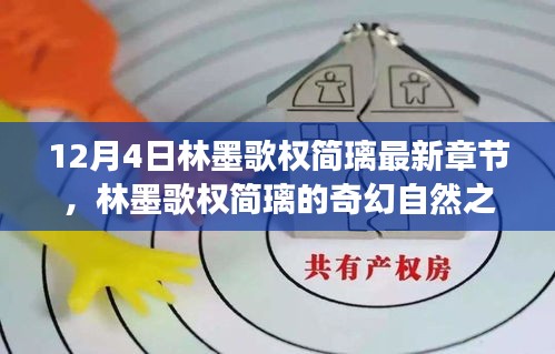 林墨歌权简璃奇幻自然之旅，寻找内心的桃花源最新章节发布于12月4日