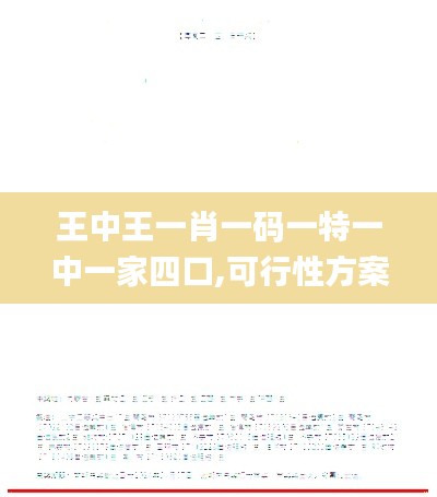 王中王一肖一码一特一中一家四口,可行性方案评估_WP125.618